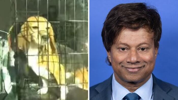 NextImg:Dem Rep Who Filed Trump Impeachment Articles Under Fire For Dog, Monkey Abuse In Bankruptcy Scandal