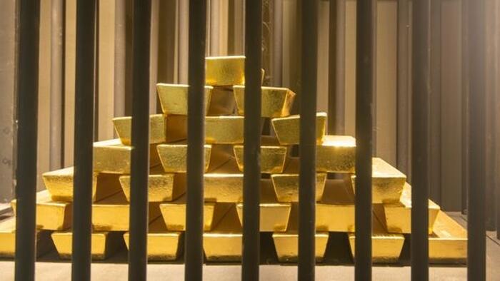 NextImg:The Gold Rush You Weren't Supposed To Notice & The Next Big Monetary Reset
