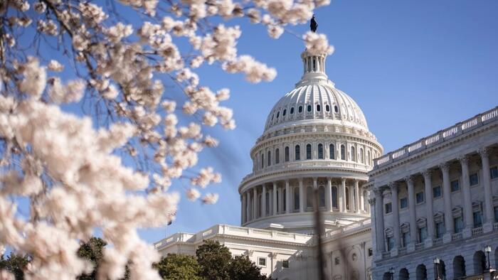 NextImg:Republicans May Override Senate's Nonpartisan Referee To Pass Trump's Agenda: What To Know