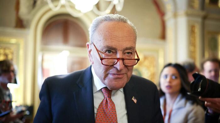 NextImg:DNC, Schumer Sue Trump Over Order Targeting Illegal Immigrant Voting