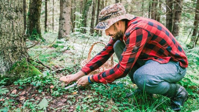 NextImg:A Key Antioxidant For Longevity Is Fading From Our Food Supply
