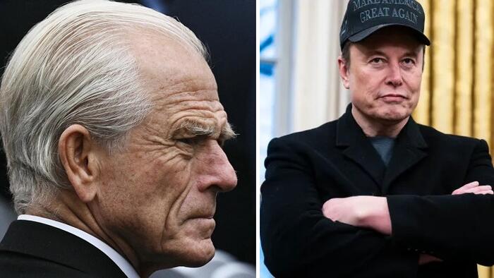 NextImg:"Navarro Is Truly A Moron": Musk Slams Trump Trade Czar In Ongoing Tariff Feud