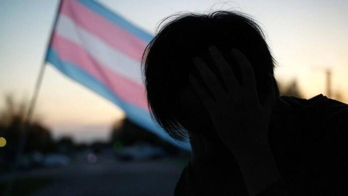 NextImg:Democrats Want 'Misgendering' And 'Deadnaming' To Be Considered Child Abuse