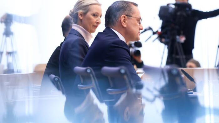 NextImg:German Spy Agency Formally Classifies AfD Party As "Right-Wing Extremist", Same Week As They Top Polls