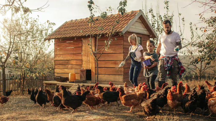 NextImg:As Predicted, America's Food System Is Failing - Time To Plant New Seeds
