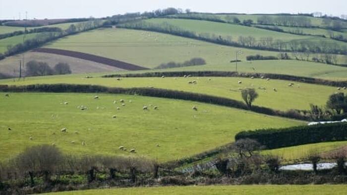 NextImg:UK Farmers Fear For Bioethanol Market Following US Trade Deal