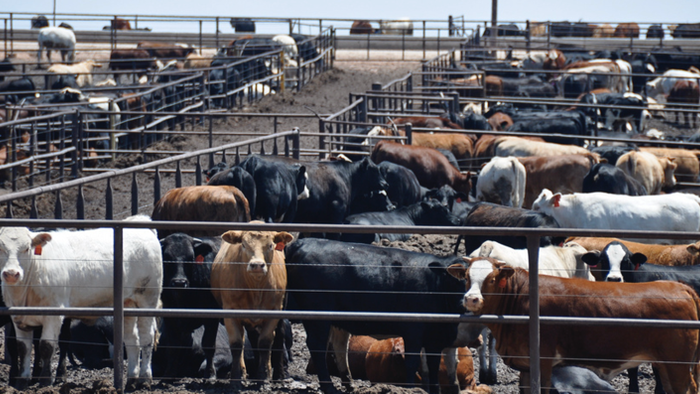 NextImg:Alarming Graph Reveals US Beef Industry Is "Hijacked By Chemical Pushers"