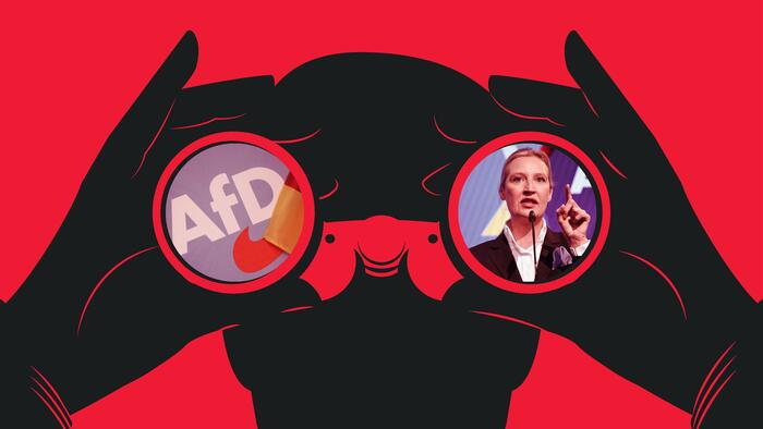 NextImg:Why Is The Secret German Spy Report On The AfD Party Only Filled With Public Statements?