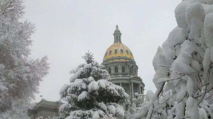 NextImg:Colorado Could Be The Parental Rights Canary In The Coal Mine
