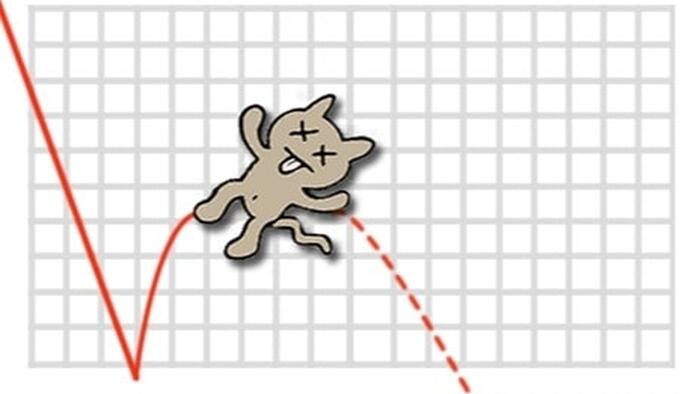 NextImg:Peter Schiff: Don't Trust The Rebound Yet