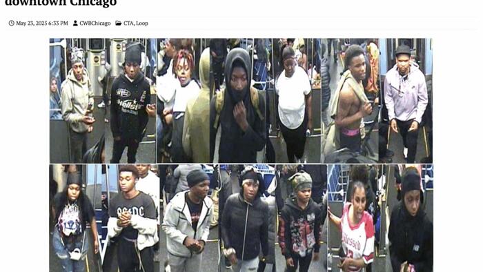 NextImg:What's Behind Chicago's Welcome, But Belated, Drop In Crime?