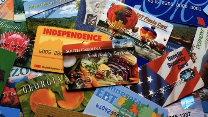 NextImg:Trump Admin Shuts Down Massive $66 Million Food Stamp Fraud Scheme