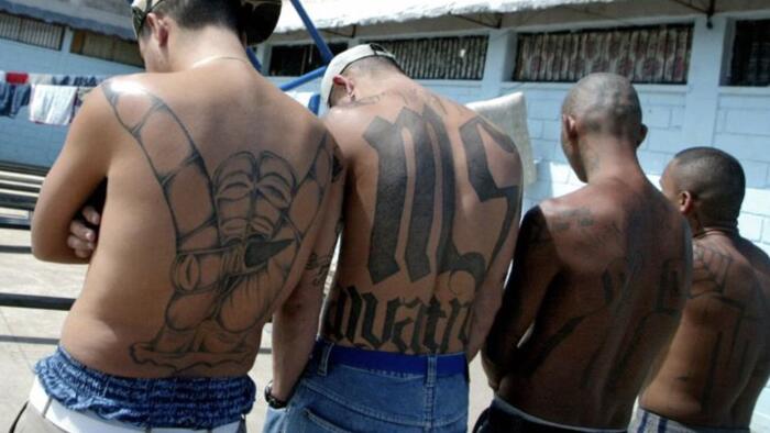 NextImg:CT Dems Advance Bill That Allows Lawsuits For Turning Over Illegals To ICE