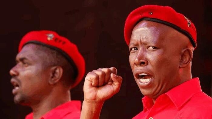NextImg:UK Welcomes South African Activist Who Chants About Killing White Farmers