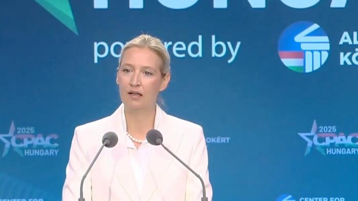 NextImg:AfD's Weidel Slams "Grotesque" "Authoritarian" Attack On German Democracy