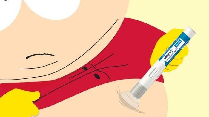 NextImg:Novo Cuts Outlook, Pledges Crackdown On Copycat Obesity Drugs