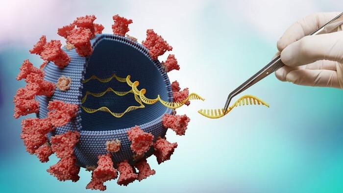 NextImg:Trump Bans Federal Funding For Dangerous Gain-of-Function Research