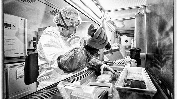 NextImg:Veteran NIH Infectious Disease Researcher Calls For End Of Dangerous Virus Studies