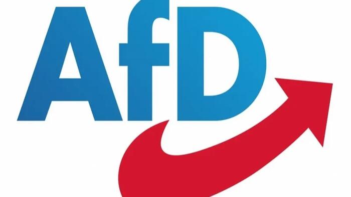 NextImg:The AfD's Views On Nationality Actually Aren't Extremist At All