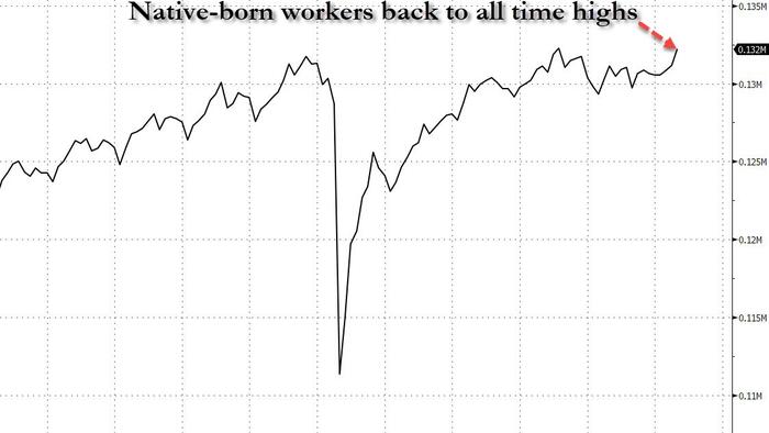 NextImg:Native-Born Workers Surge By Over 1 Million, Back To All-Time High, As Govt Employees Tumble