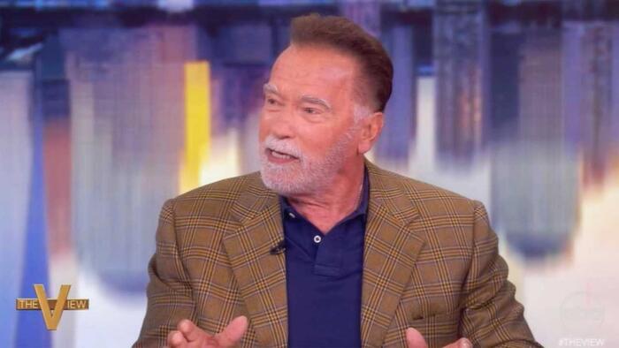 NextImg:"You've Got To Do Things Legally" - Arnold Shocks The View With Pro-America Rant No One Saw Coming