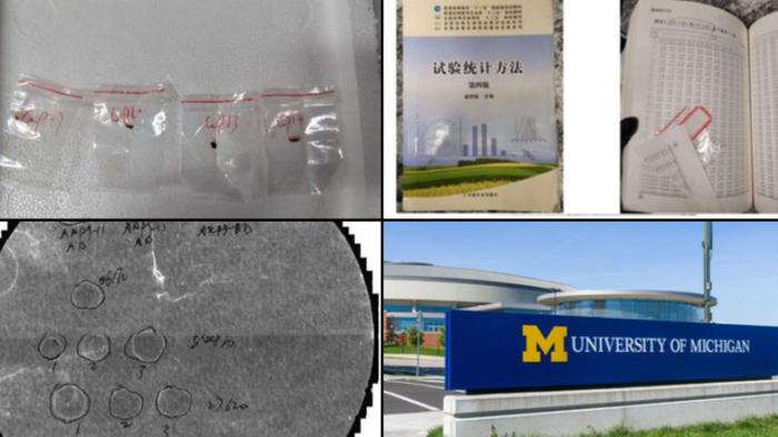 NextImg:Chinese Nationals Caught Smuggling "Agroterrorism" Fungus Into America's Breadbasket