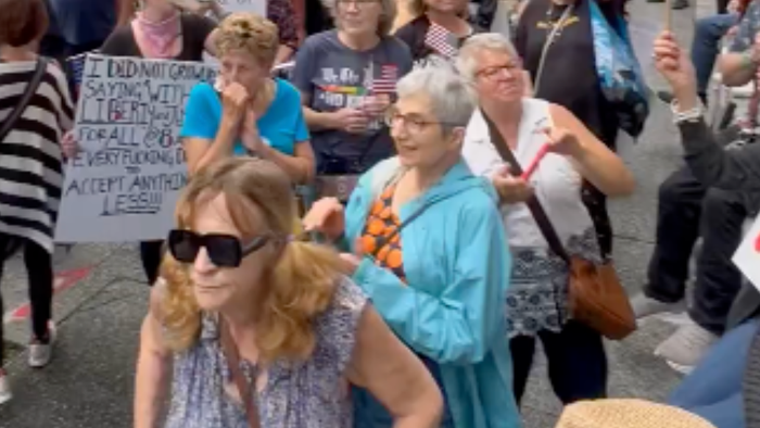 NextImg:Old White Boomers By Day, Antifa By Night: 'No Kings' Color Revolution