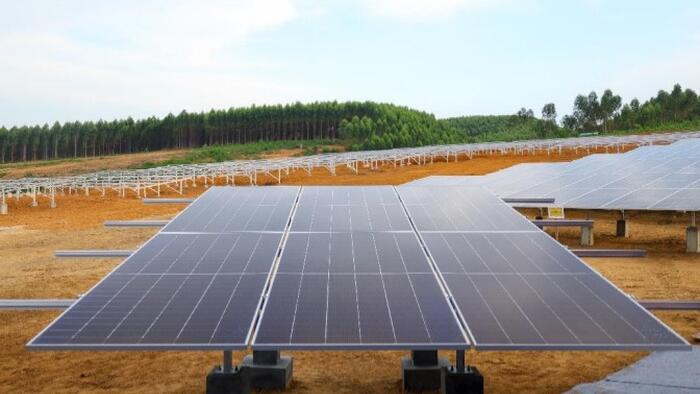 NextImg:Reality Check For Gen Z: 'Green' Energy Requires Wealth