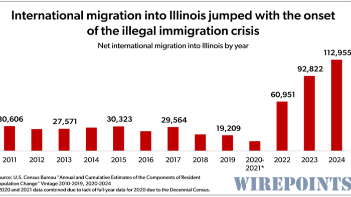 NextImg:How To Destroy A State: Swap Out The Wealthy For Illegal Immigrants