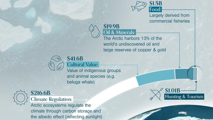 NextImg:Visualizing The Economic Value Of The Arctic