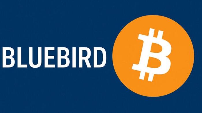 NextImg:UK Gold Mining Company Bluebird To Convert Revenues Into Bitcoin