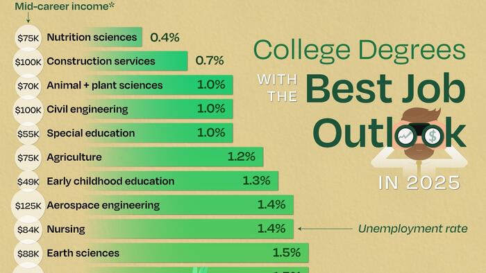 NextImg:These Are The Best College Degrees For Finding A Job In The US