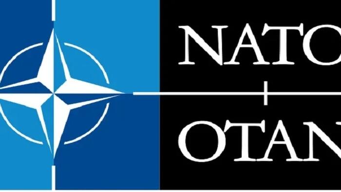 NextImg:NATO's Procurement Corruption Scandal Might Delay Its Rapid Militarization Plans