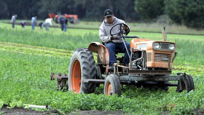 NextImg:Make It Make Sense: Why Are We Punishing The Farmers Doing The Right Thing?