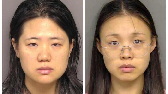 NextImg:2 Chinese Nationals To Stay In Jail Facing Charge Of Smuggling Biological Material