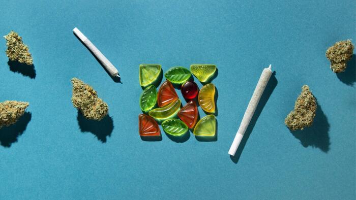 NextImg:Cannabis, Smoked Or Eaten, Linked To Tobacco-Like Blood Vessel Harm