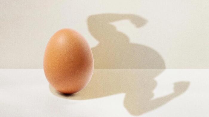 NextImg:Eggs Strengthen Muscles And Help Prevent Sarcopenia - How Many Should You Eat?