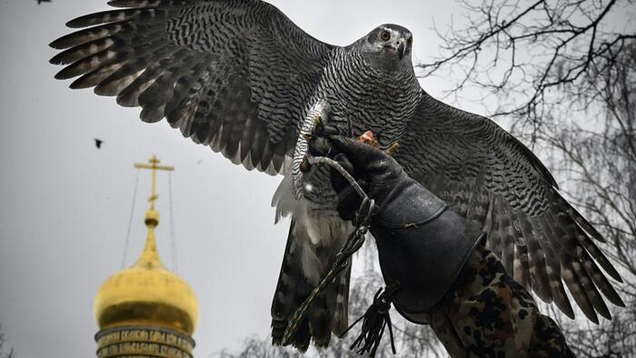 NextImg:Kremlin Hawks Frustrated That Putin Still Has Not Declared Formal State Of War