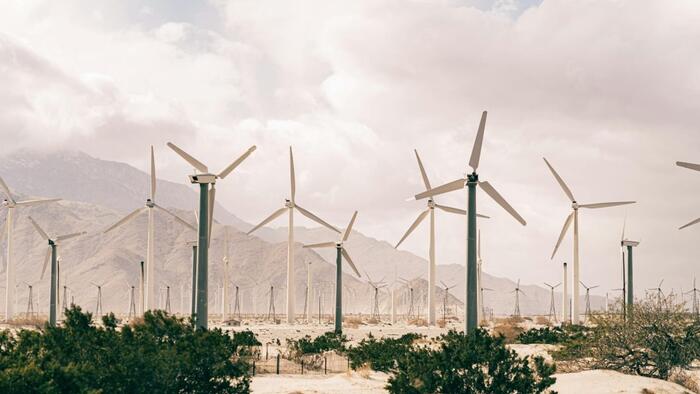 NextImg:Trump: No More "Bullshit" Windmills