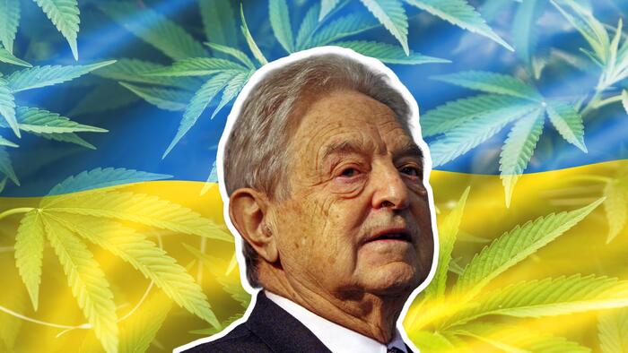 NextImg:Soros-Backed NGOs Push Legalized Marijuana For Ukrainians Amid Devastating War