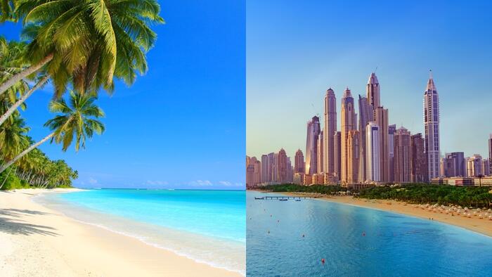 NextImg:Beach, Nature, Or City Trip? Where People Vacation