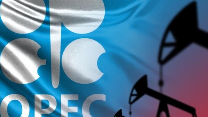 NextImg:Goldman Sachs Expects Another OPEC+ Superhike In September