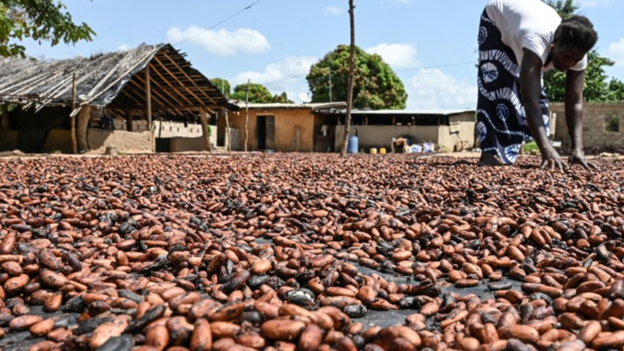 NextImg:Cocoa Supply Crunch Shown In One Chart