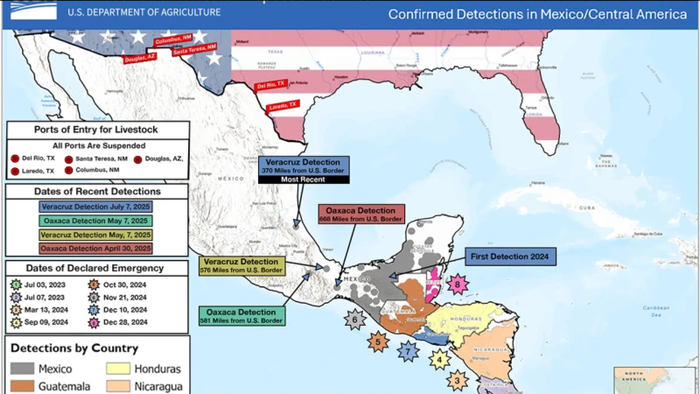 NextImg:US Orders "Immediate Shutdown" Of Mexican Cattle Trade After Cross-Border Parasitic Fly Threat