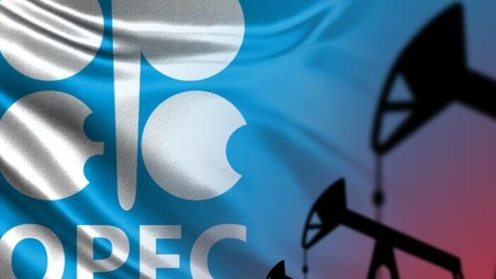 NextImg:OPEC Says Global Oil Consumption Will Hit 123 Million BPD By 2050