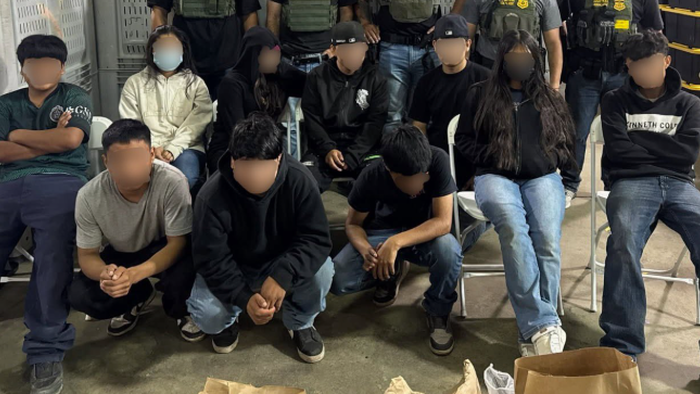 NextImg:Forced Labor, Human Trafficking? Illegal Alien Kids Rescued After ICE Raids Industrial Pot Farm In Newsom's California