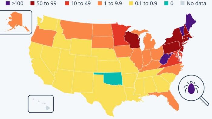 NextImg:Lyme Disease Is Most Prevalent In The Northeast