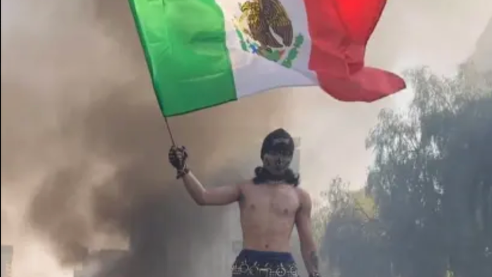 NextImg:The Protest-Industrial-Complex Isn't Peaceful, It's "Civil Terrorism" ...