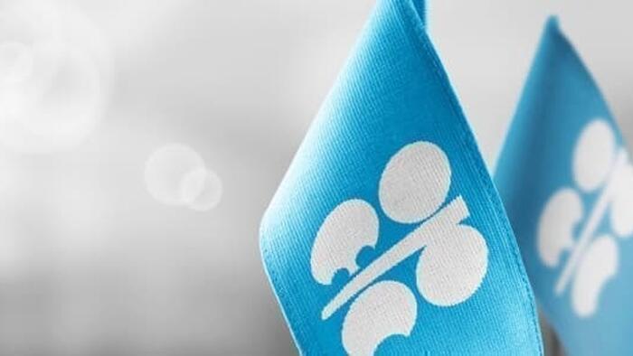 NextImg:OPEC Is Playing The Long Game