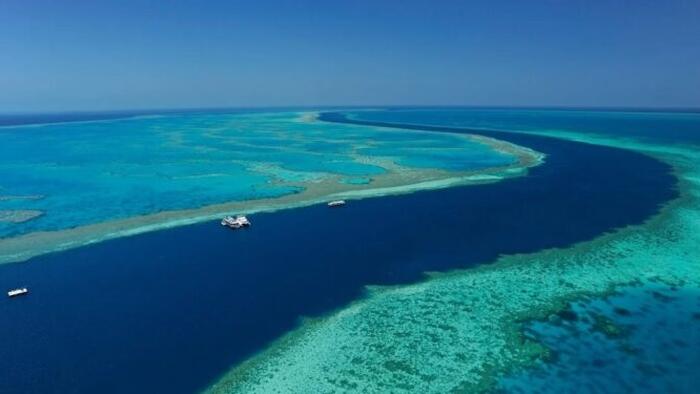 NextImg:Mainstream Naysayers Gather As Hopes Rise For 4th Year Of Record Coral On The Great Barrier Reef